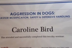 Agression Handling Certificate